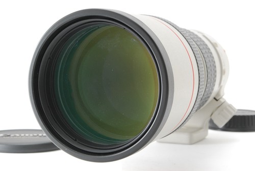 Ecc canon ef 300mm f4 - canon,