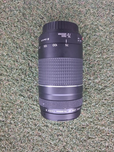 Canon 300mm 4 - canon, 75-300mm