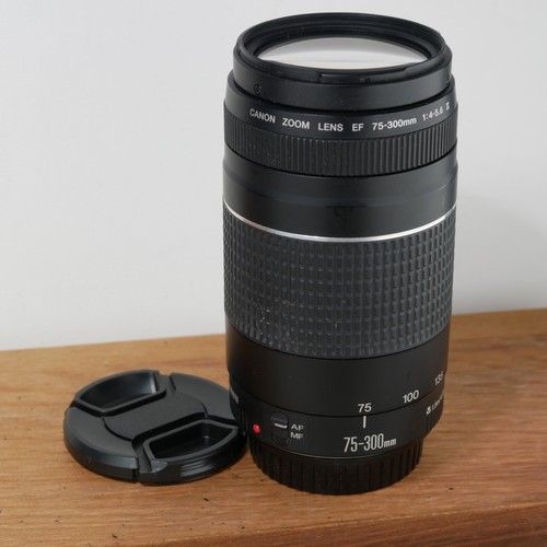 Canon 300 4 0 - 75-300, f/4.0-5.6
