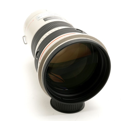 Canon 300 8 l - f/2.8, usm
