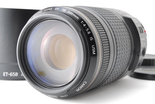 Top mint canon - ef, 70-300mm